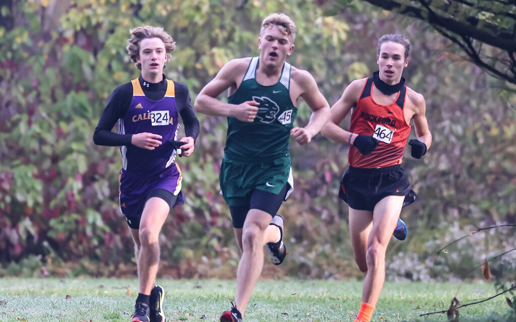 2020 MSR Cross Country All-Conference Teams