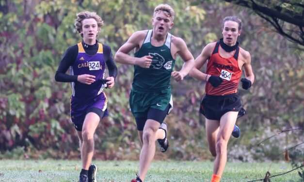 2020 MSR Cross Country All-Conference Teams